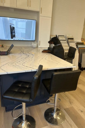 Schedule a meeting